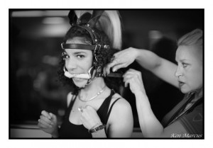 Adjusting the bridle.