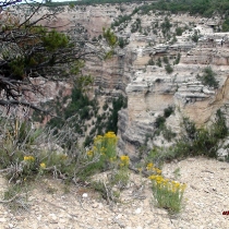 Photography by subMissAnn  The Grand Canyon   Friday  6  August 2010