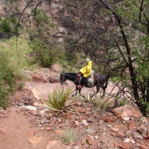 Photography by subMissAnn  The Grand Canyon   Saturday  7 August 2010