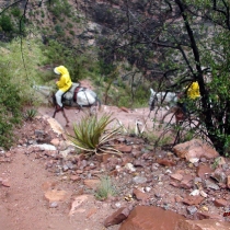 Photography by subMissAnn  The Grand Canyon   Saturday  7 August 2010