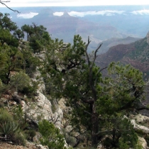 Photography by subMissAnn  The Grand Canyon   Saturday  7 August 2010