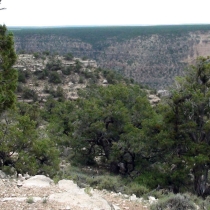 Photography by subMissAnn  The Grand Canyon   Sunday  8 August 2010