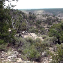 Photography by subMissAnn  The Grand Canyon   Sunday  8 August 2010