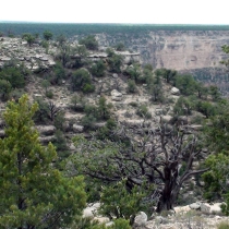 Photography by subMissAnn  The Grand Canyon   Sunday  8 August 2010