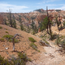 brycecanyon014faeryland