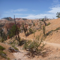 brycecanyon015faeryland