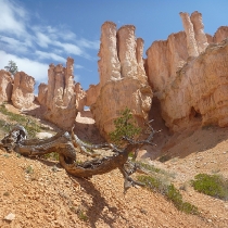 brycecanyon017faeryland