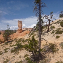 brycecanyon019faeryland