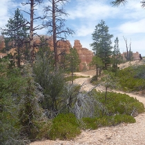 brycecanyon031faeryland