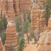 brycecanyon035faeryland