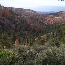 Road Trip August 2011