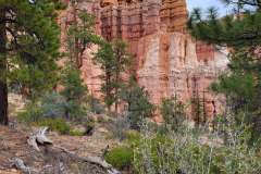 Bryce Canyon:  The Fairyland Trail 