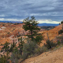 Bryce Canyon National Park:  Fairyland Loop 003