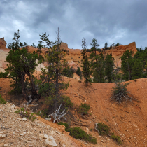 Bryce Canyon National Park:  Fairyland Loop 008