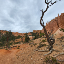 Bryce Canyon National Park:  Fairyland Loop 011