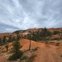 Bryce Canyon National Park:  Fairyland Loop 012