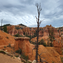 Bryce Canyon National Park:  Fairyland Loop 014