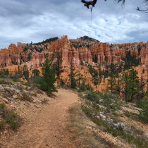 Bryce Canyon National Park:  Fairyland Loop 015