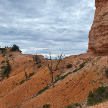 Bryce Canyon National Park:  Fairyland Loop 016