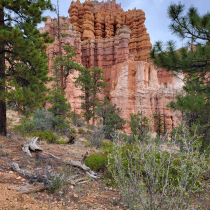 Bryce Canyon National Park:  Fairyland Loop 019