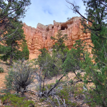 Bryce Canyon National Park:  Fairyland Loop 020