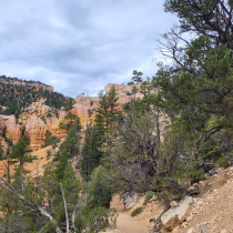 Bryce Canyon National Park:  Fairyland Loop 023