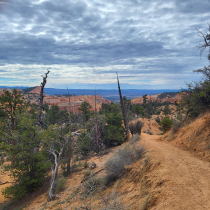 Bryce Canyon National Park:  Fairyland Loop 025