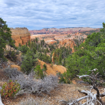 Bryce Canyon National Park:  Fairyland Loop 029