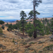 Bryce Canyon National Park:  Fairyland Loop 034