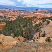 Bryce Canyon National Park:  Fairyland Loop 038