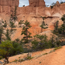 Bryce Canyon National Park:  Fairyland Loop 005