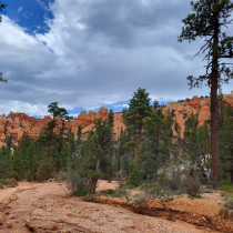 Bryce Canyon National Park: The Queen's Garden 02