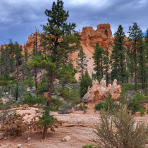 Bryce Canyon National Park: The Queen's Garden 03