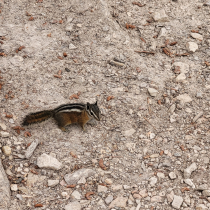 Bryce Canyon National Park: The Queen's Garden 06