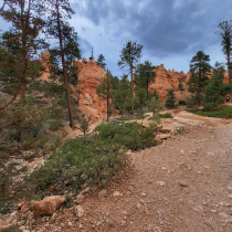 Bryce Canyon National Park: The Queen's Garden 08