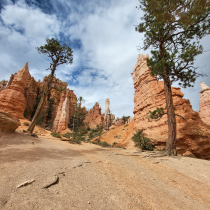 Bryce Canyon National Park: The Queen's Garden 11