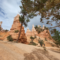 Bryce Canyon National Park: The Queen's Garden 12