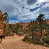 Bryce Canyon National Park: The Queen's Garden 14