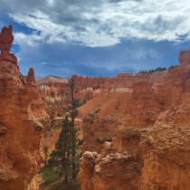 Bryce Canyon National Park: The Queen's Garden 16