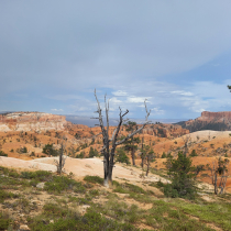 Bryce Canyon National Park: The Queen's Garden 19