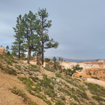 Bryce Canyon National Park: The Queen's Garden 20