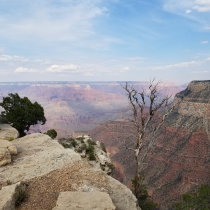 Grand Canyon 2021 Birthday Celebration 08