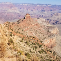 Grand Canyon 2021 Birthday Celebration 63