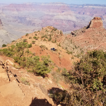 Grand Canyon 2021 Birthday Celebration 67