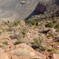 Grand Canyon 2021 Birthday Celebration 72