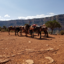 Grand Canyon 2021 Birthday Celebration 77