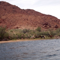 grandcanyon2013_093