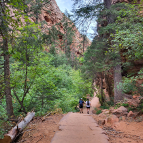 West Rim Trail 007