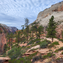 West Rim Trail 009