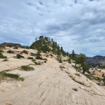 West Rim Trail 011